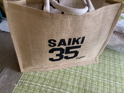 What's in my bag? 阪神甲子園球場へ行く日のカバンの中身編
